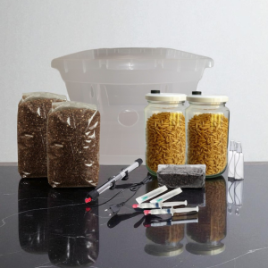 kit plus paca cultivo de hongos