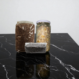 FastFungi Pack trufas Mágicas